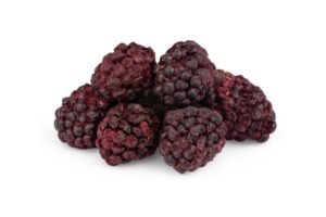 Alternative view of Freeze-Dried Blackberries